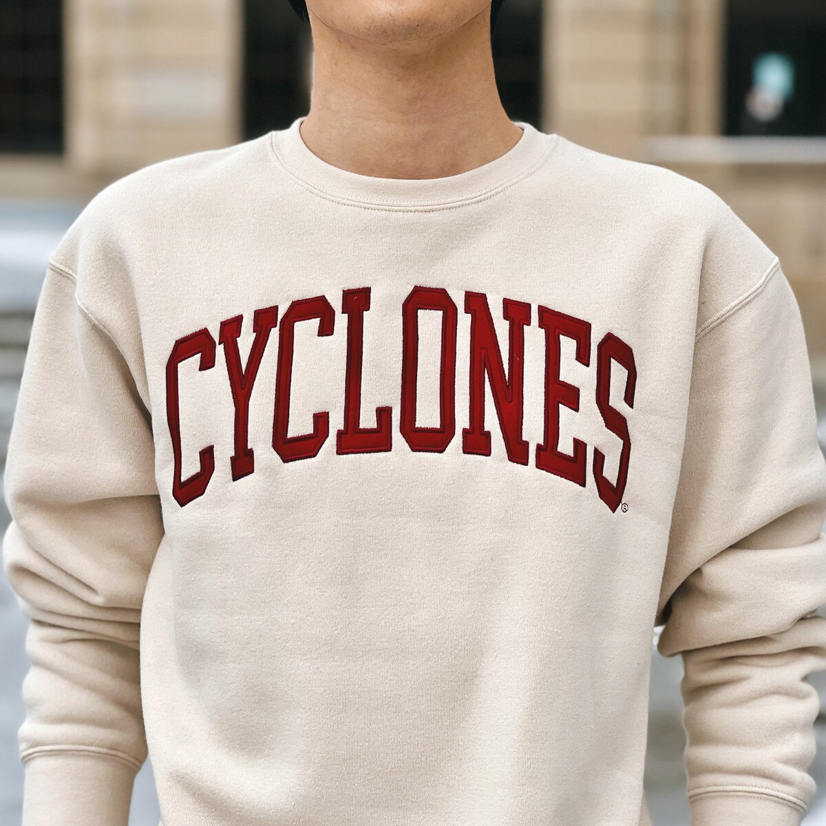 ZooZatz Cyclones Sand Crewneck